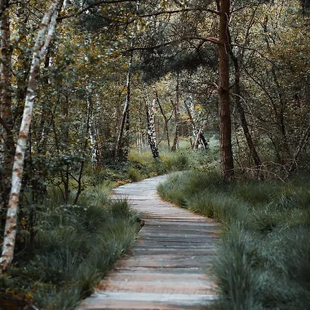 Mit Loggia Apartamento