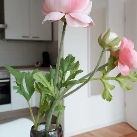 Mit Loggia Appartement Munster (North Rhine-Westphalia)