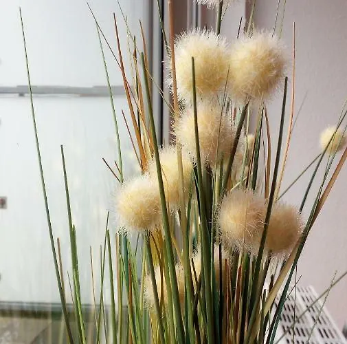 Mit Loggia * Munique